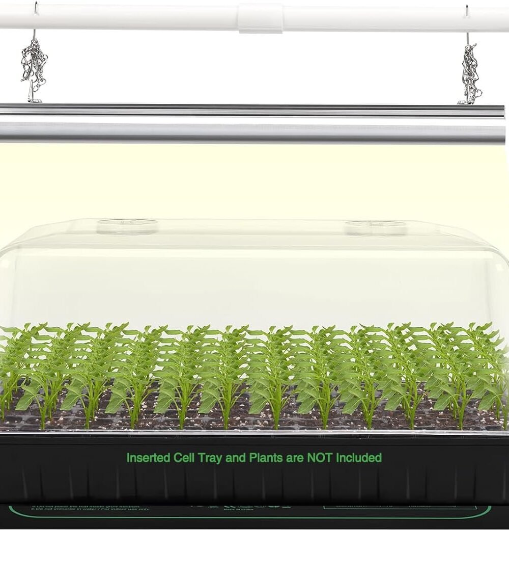 Seed Starter Kits & Gardening Supplies – Fast Germination & Healthy Growth