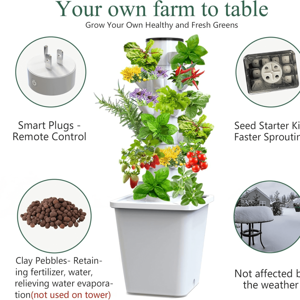 Easy cultivation of hydroponic plants throughout the year (1) Effortless Year-Round Cultivation of Hydroponic Plants