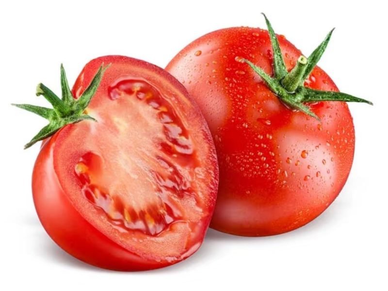 Efficient hydroponic tomato farming with Ingreenfuture's sustainable system, perfect for small farms or urban gardens.