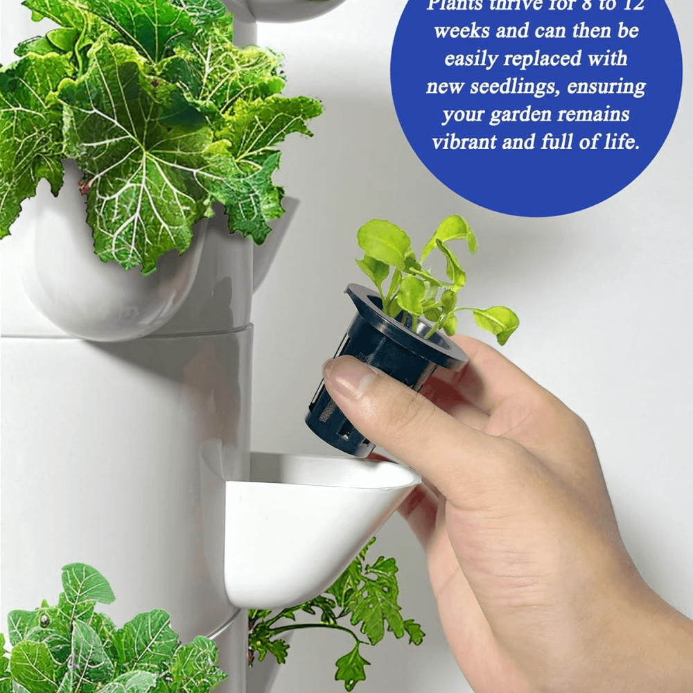 Rapid growth from dining table to kitchen zero kilometers A vibrant, dynamic display of plants growing in a hydroponic system placed right on a dining table, showcasing the ease and convenience of indoor gardening. The plants, ranging from leafy greens to aromatic herbs, seem to flourish effortlessly in this close-to-home setup, highlighting the potential for homegrown produce in a zero-kilometer kitchen environment. This image captures the essence of sustainability and freshness, where healthy, homegrown food is just a reach away from the dining area.